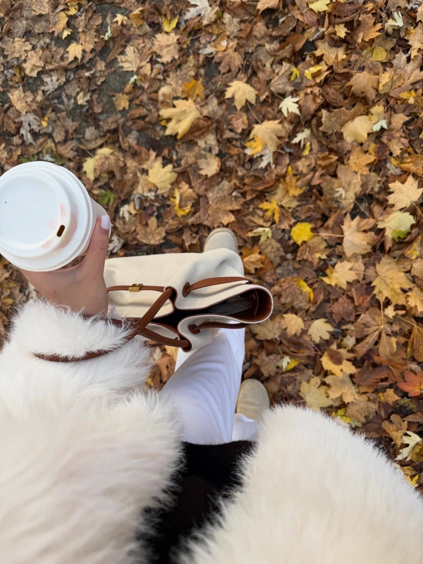 JW PEI — canvas and leather tote, autumn park, frame 4